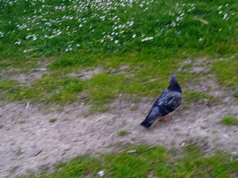 Quedarse En Casa Nantes 387888-2