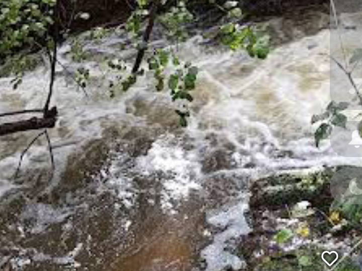 Quedarse En Casa Nantes 387888-4