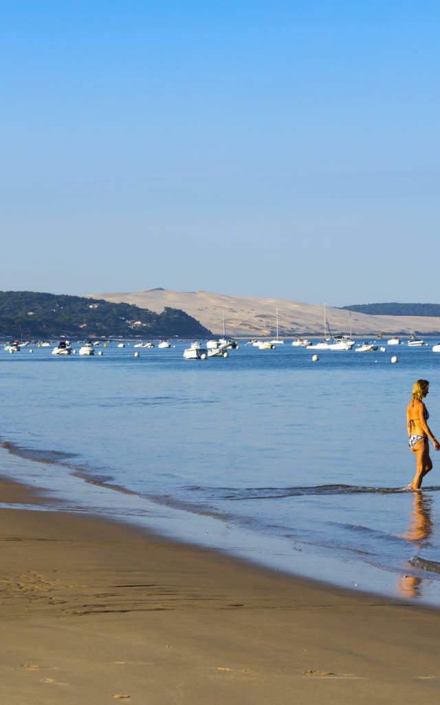 Estudio Independiente Arcachon 257082