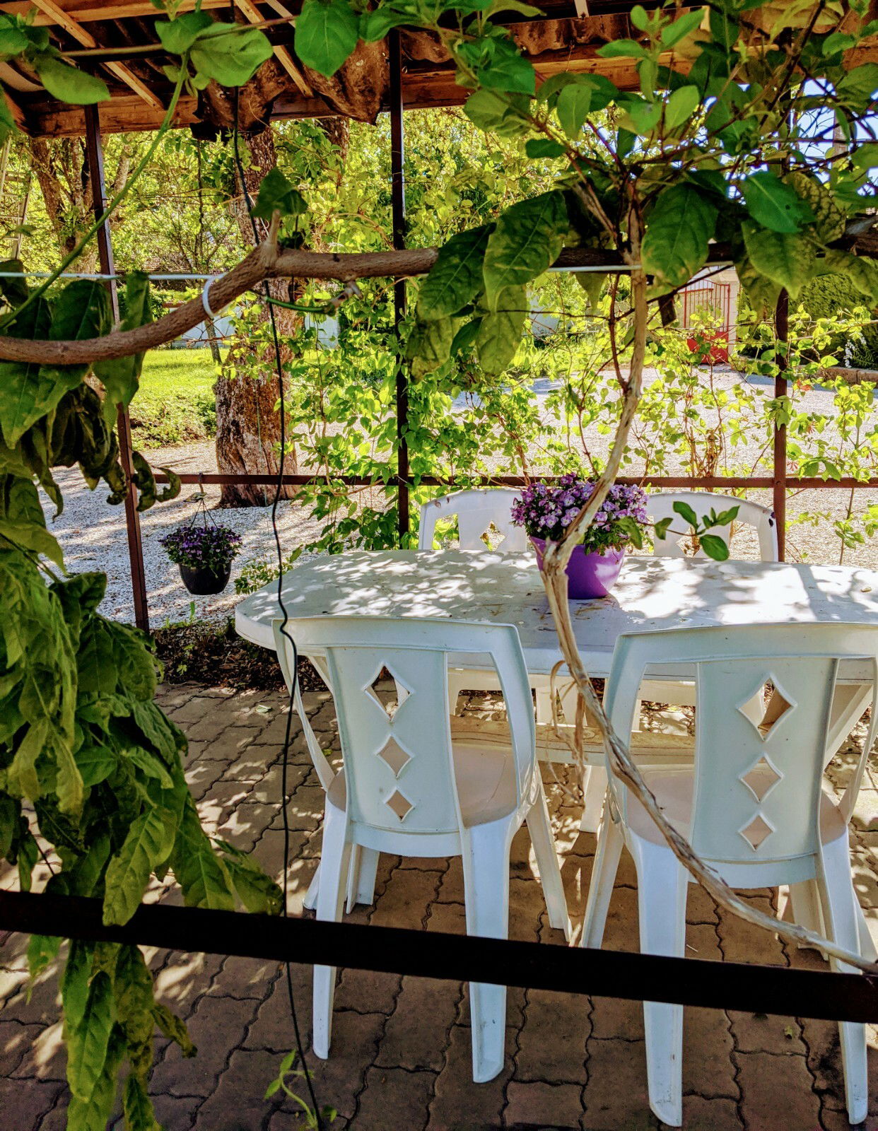 Onafhankelijke Studio Contrexéville 245141