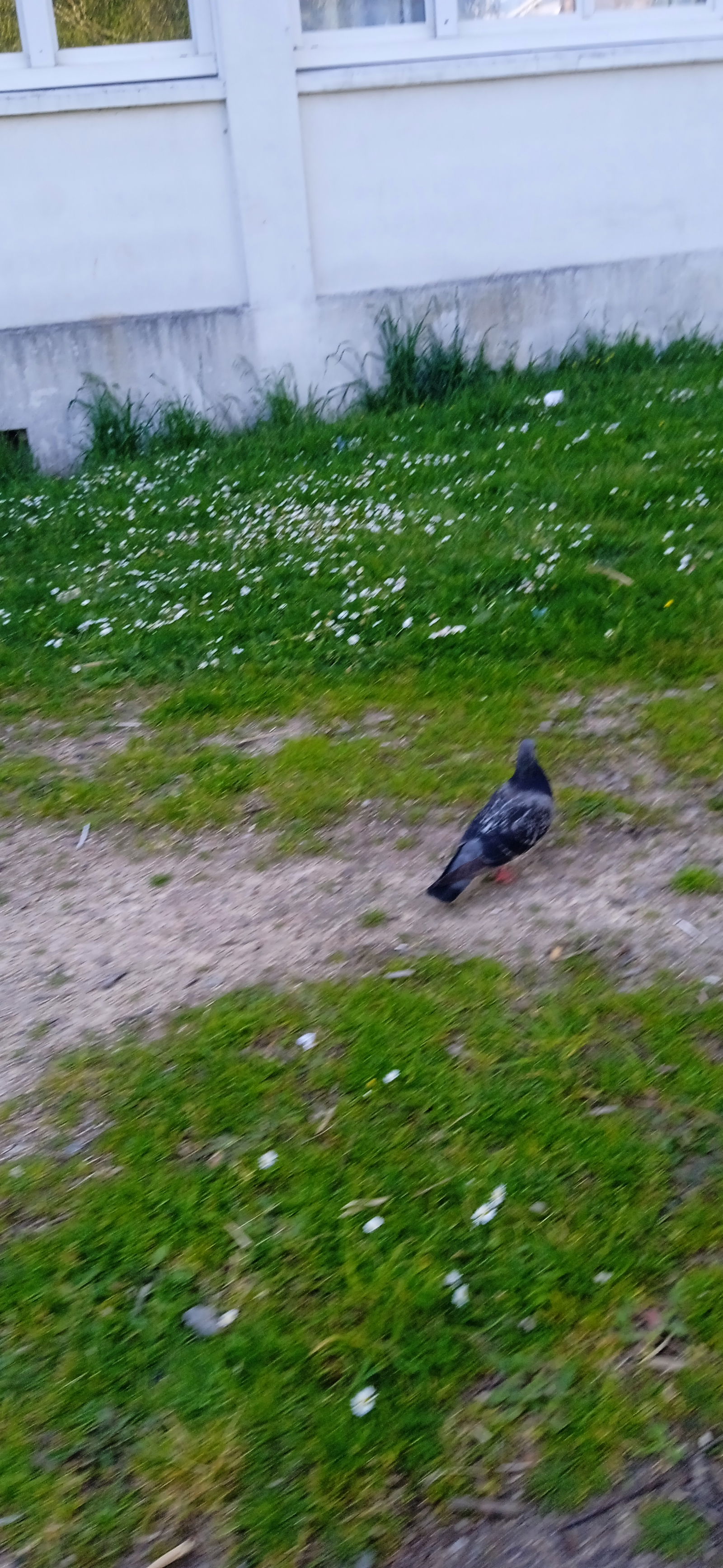 Kotimajoitus Nantes 387888