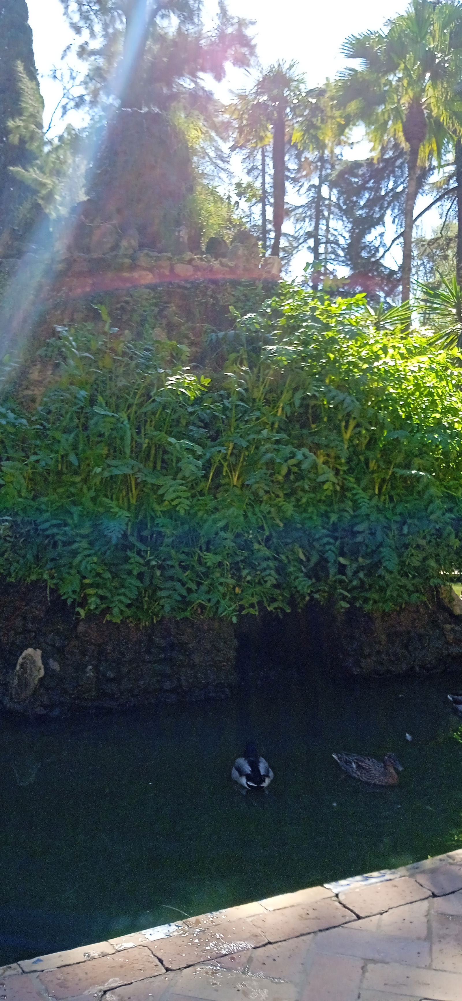 Gastfamilie Nantes 387888