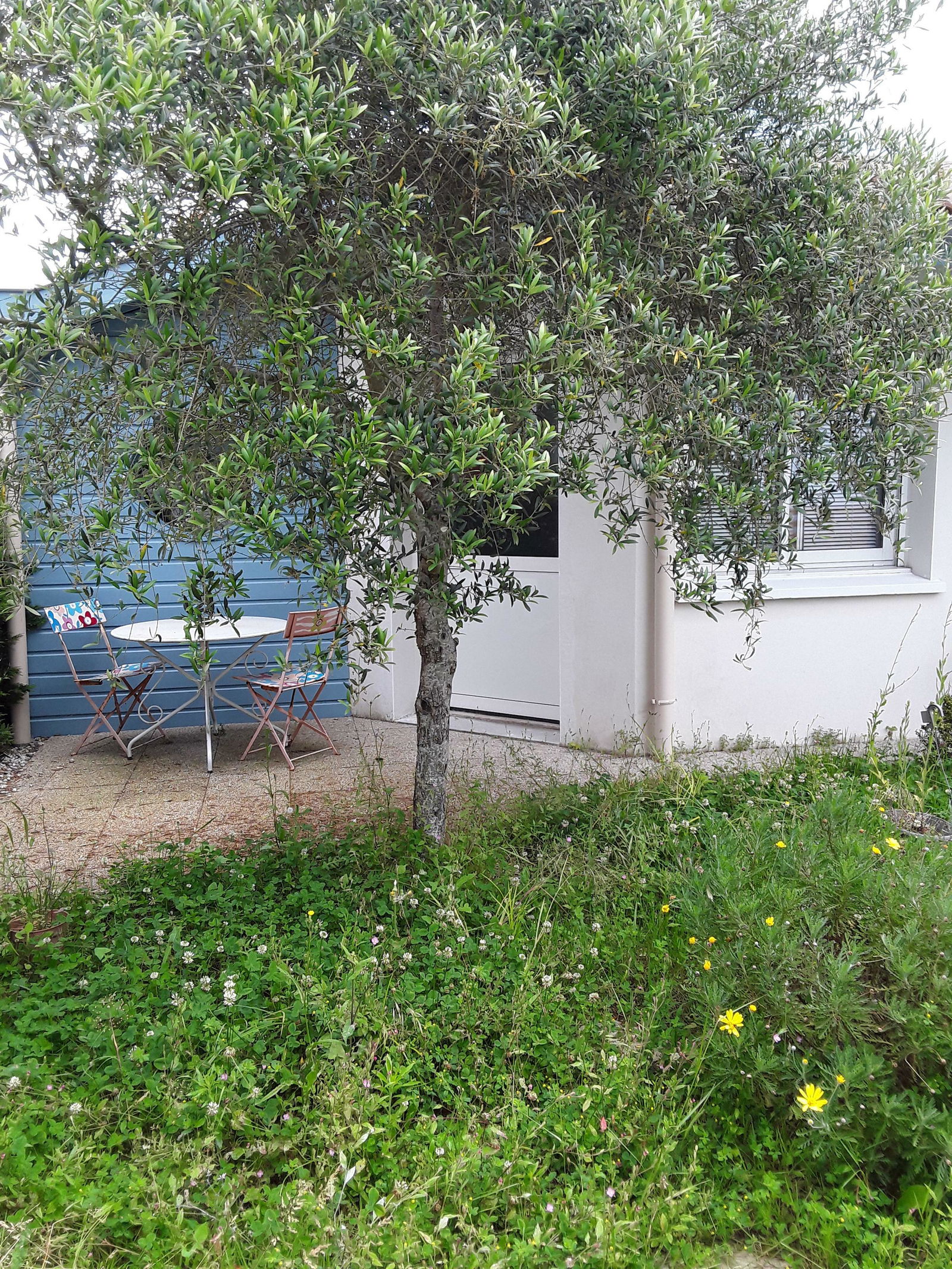 Estudio Independiente Anglet 246035