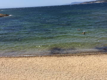 Entire Home Six-Fours-Les-Plages 242769-12