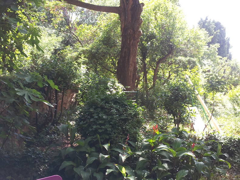 Colocación Toulon 107668-2