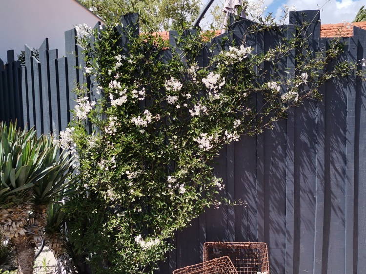 Entire Home Audenge 227619-2