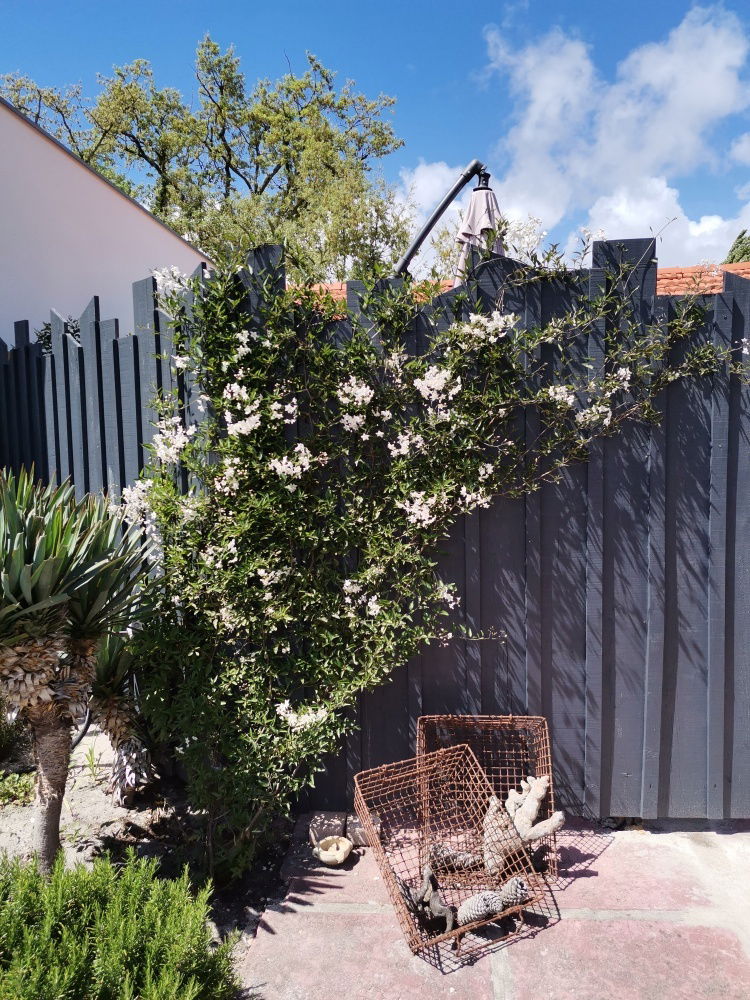 Unabhängiges Studio Audenge 227619