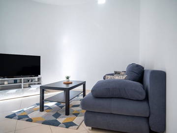 Logement entier à louer à Lyon - photo 1 : autre pièce-1