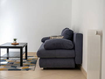 Logement entier à louer à Lyon - photo 6 : autre pièce-6