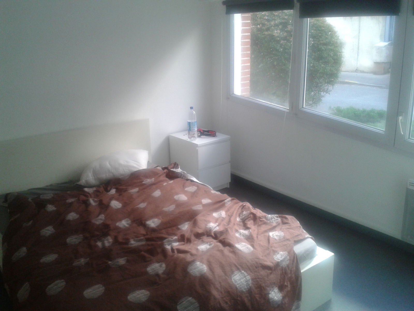 Colocation Toulouse 87237