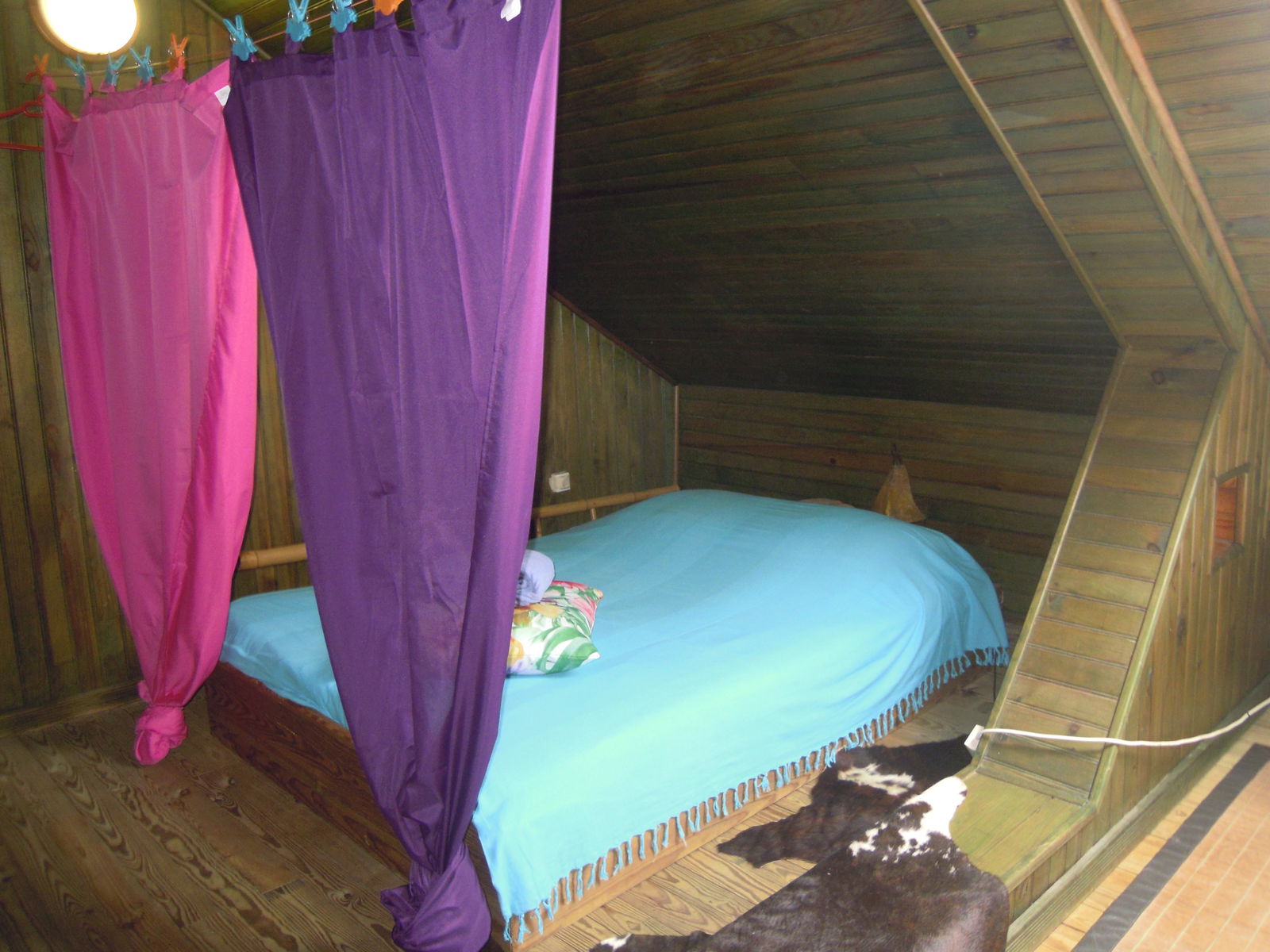 Onafhankelijke Studio Le Carbet 163363