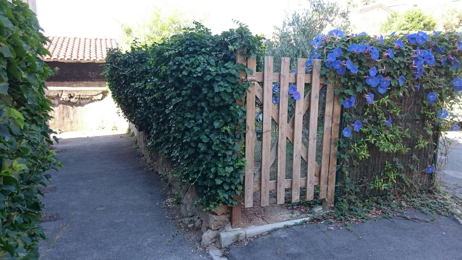 Quedarse En Casa La Farlède 177238