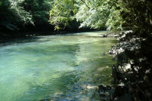 Estudio Independiente Herrère 93393