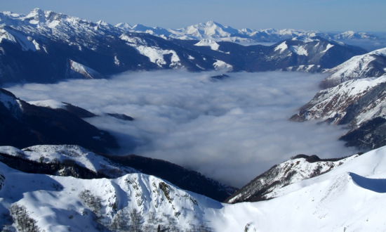 Estudio Independiente Herrère 93393