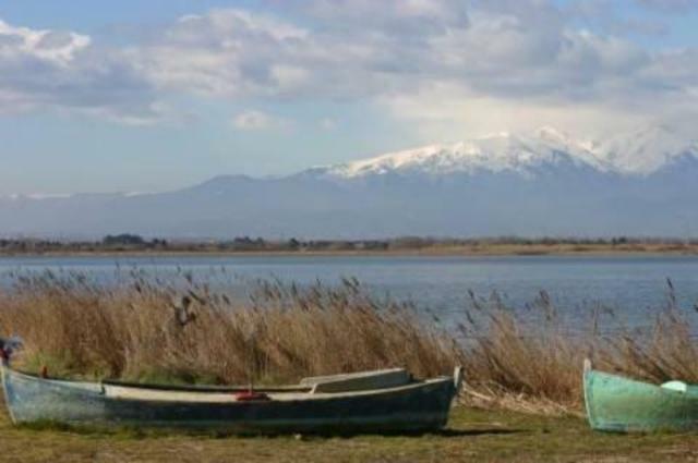 Estudio Independiente Canet-en-Roussillon 55513