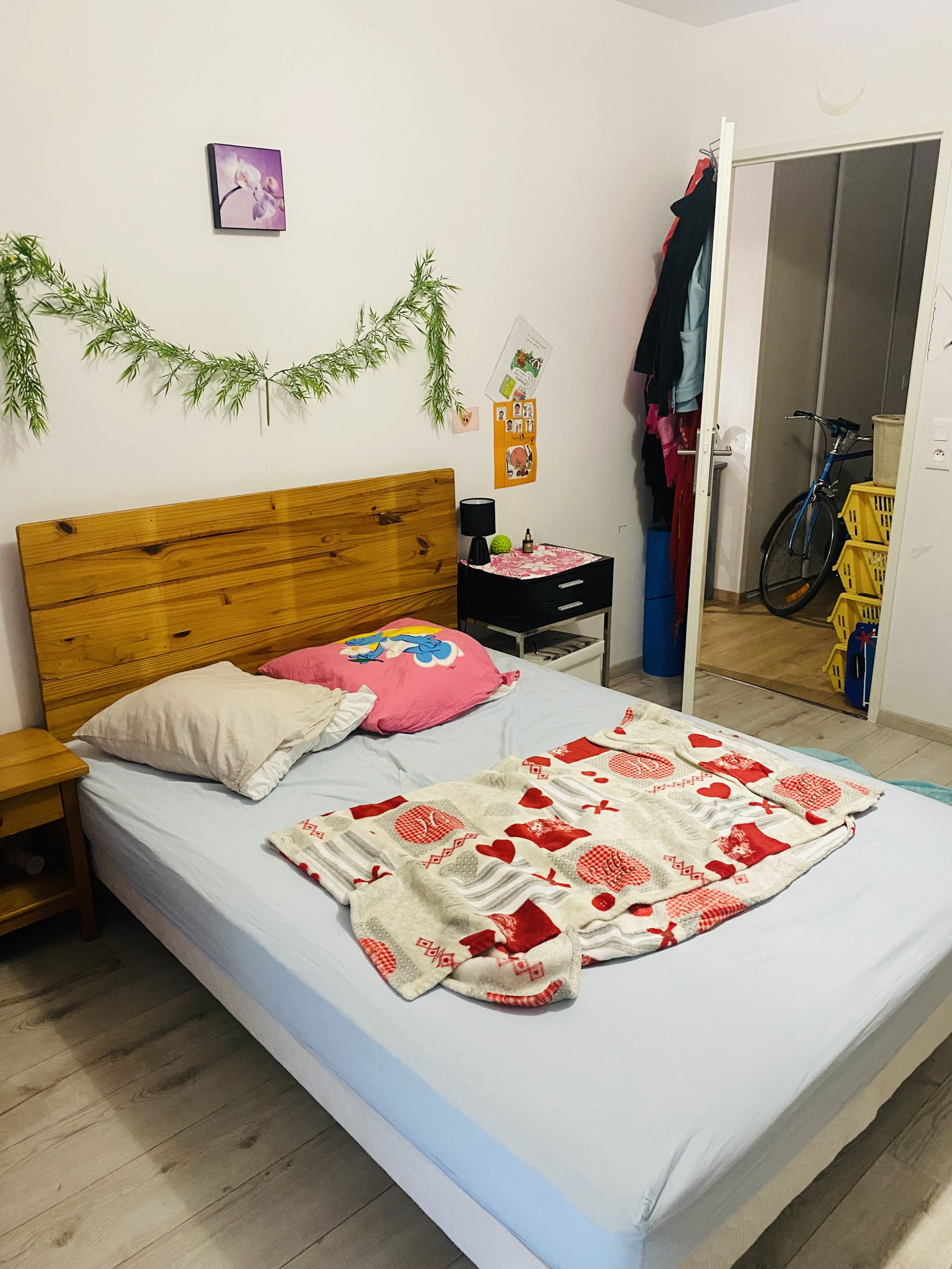 Independent Studio Cenon 259790