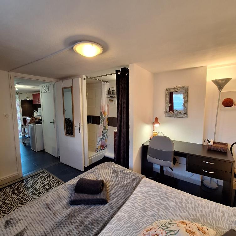 Unabhängiges Studio Saint-Romain-de-Jalionas 85882