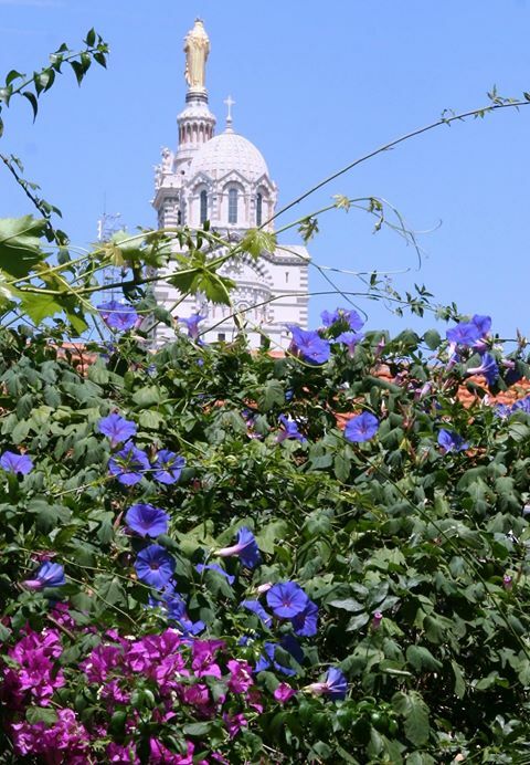 Ganzes Haus Marseille 247954