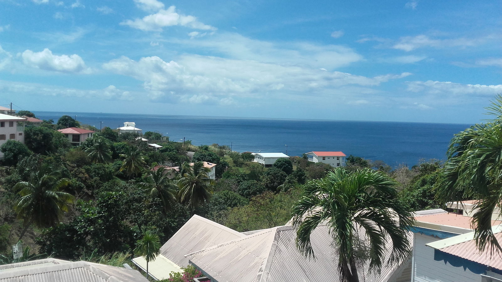 Onafhanklike Ateljee Le Carbet 163363