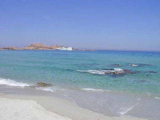 Chambre À Louer L'île-Rousse 256411