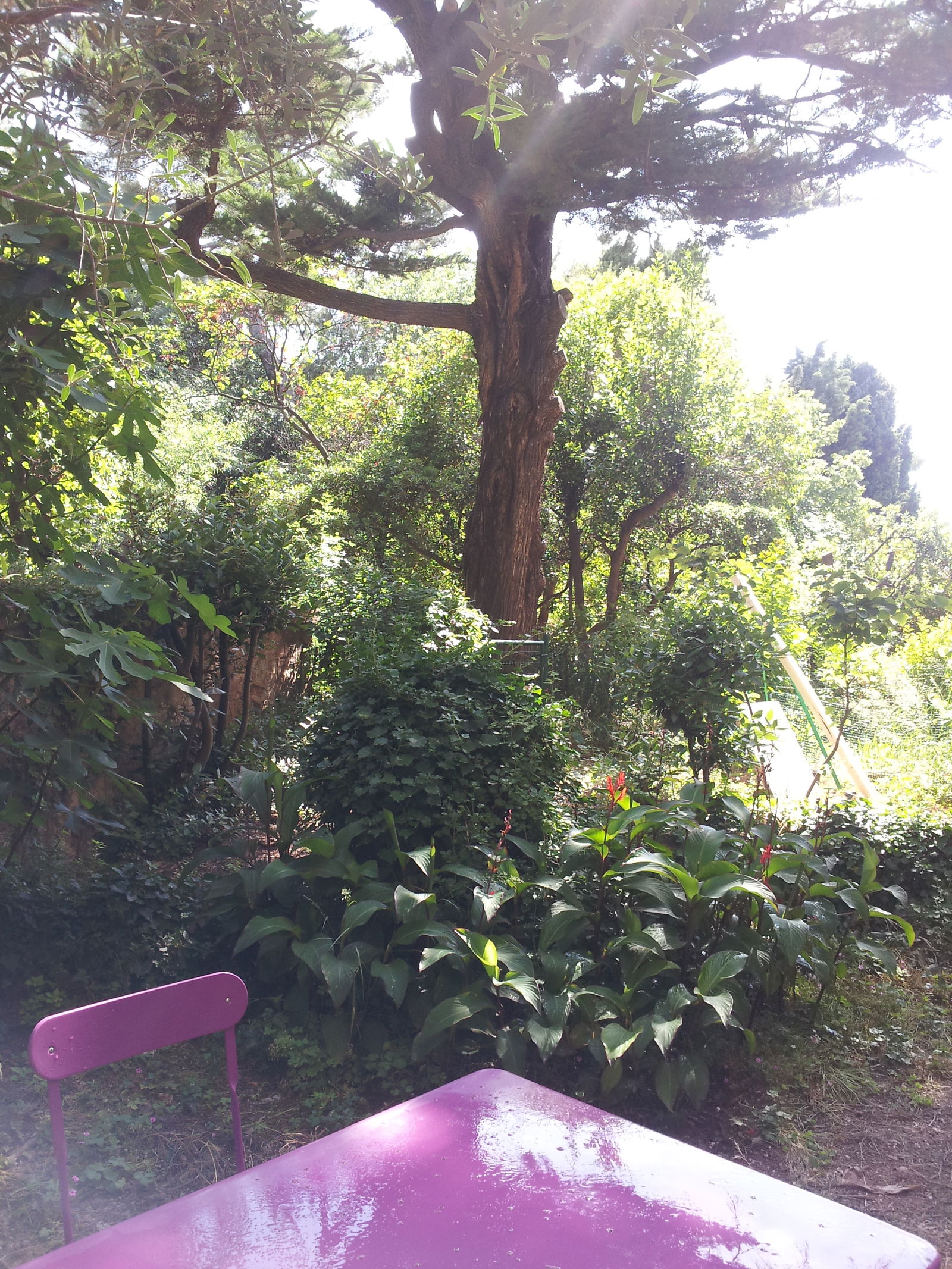 Colocation Toulon 107668