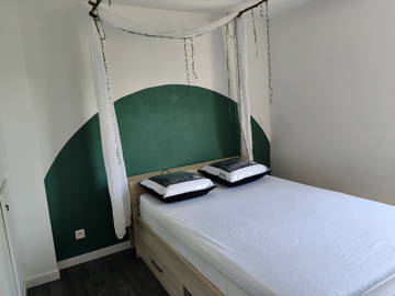Colocation à louer à Vandœuvre-Lès-Nancy - photo 1 : chambre-1