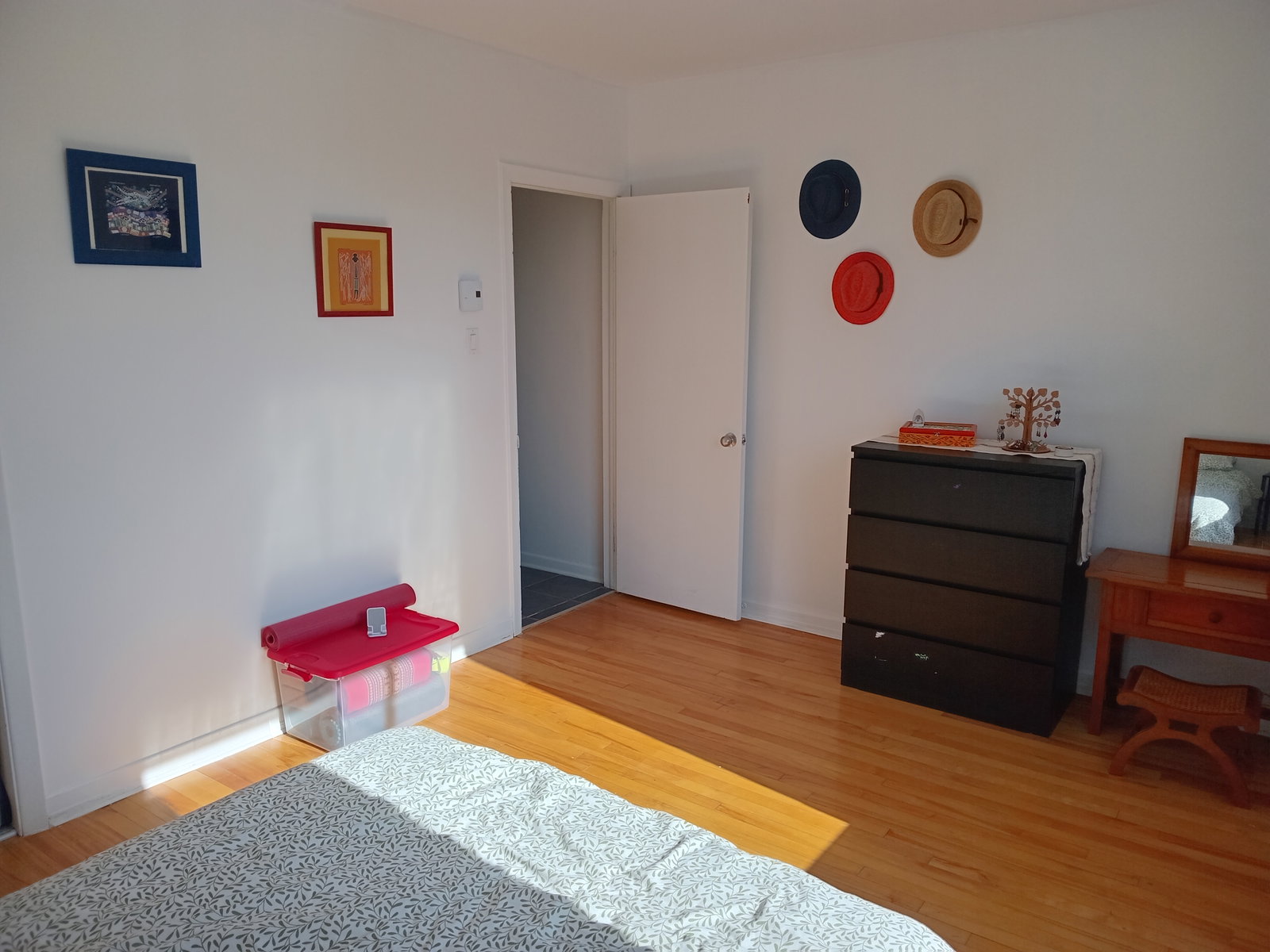 Coliving Montréal 668272