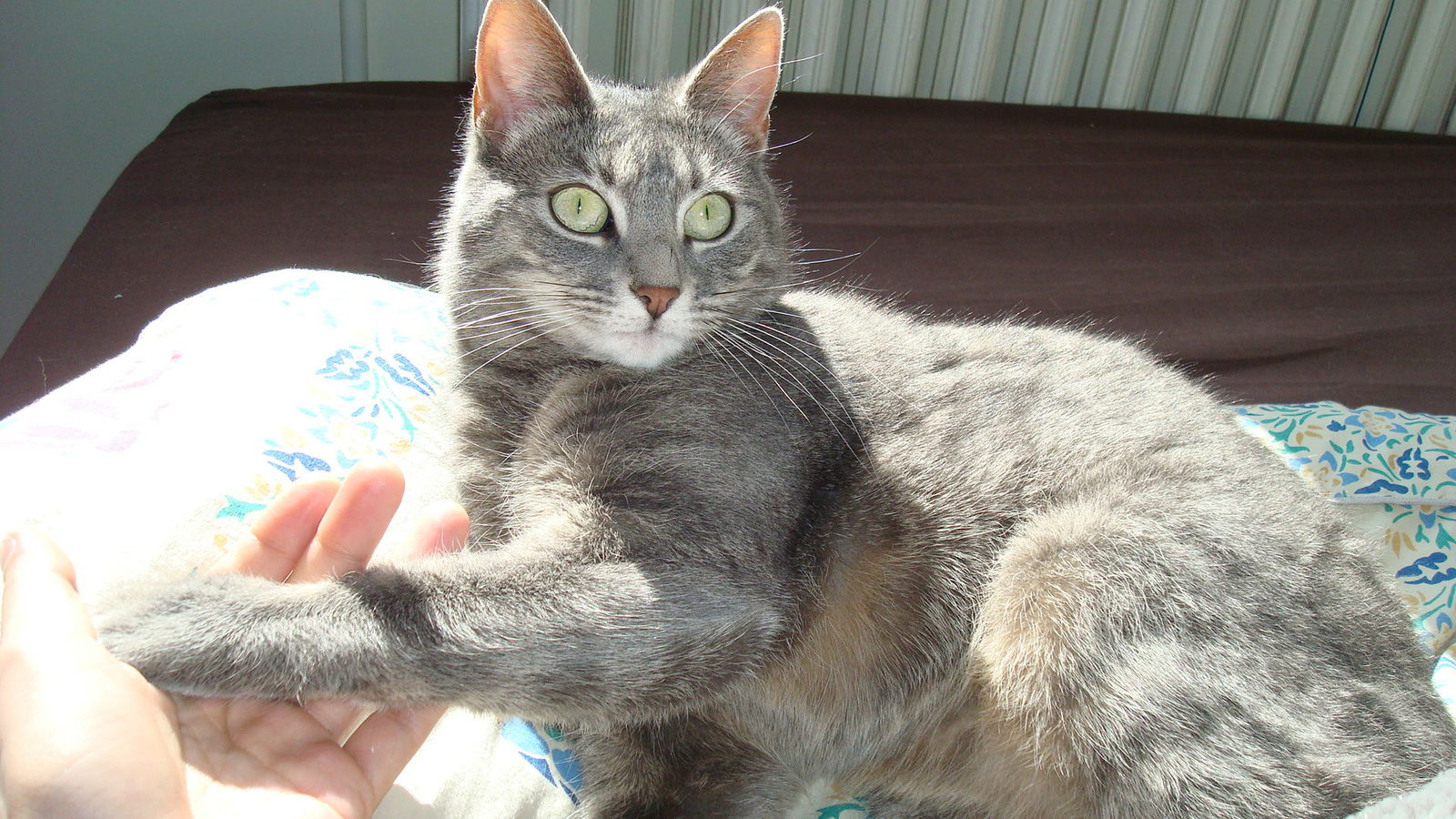 Kolokation Rennes 127712