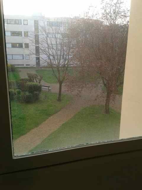 Colocation Angers 164329