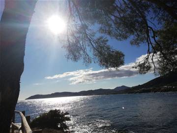 Logement Entier 17490 199567-20