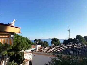 Logement Entier 17490 199567-15