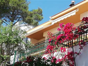 Logement Entier 17490 199567-17