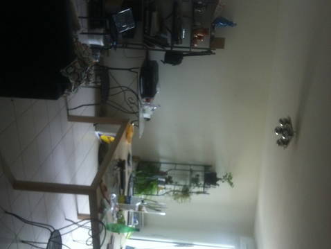 Colocation Toulouse 52462-2