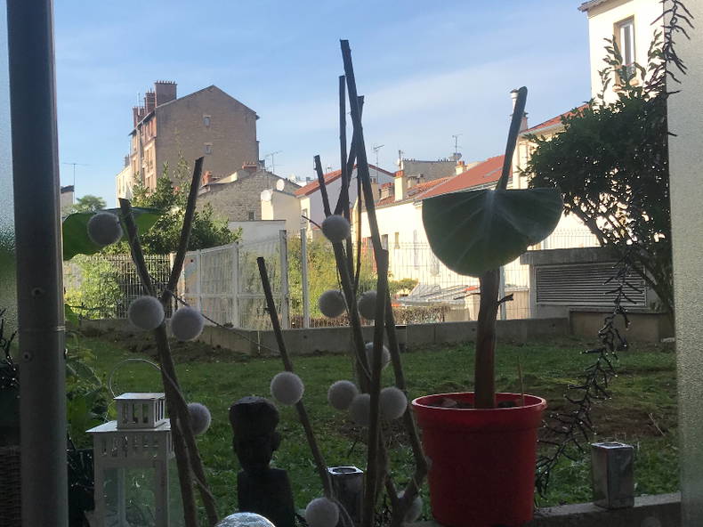 Chambre Chez L'habitant Le Kremlin-Bicêtre 348562-5