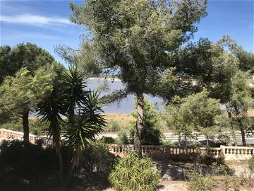 Chambre À Louer Hyères 250487-1