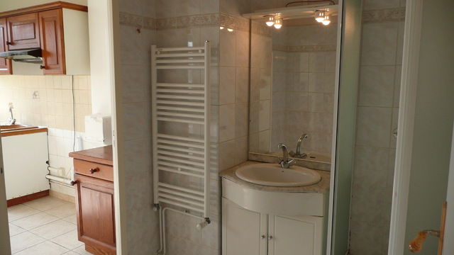 Kolokasie Bron 52442