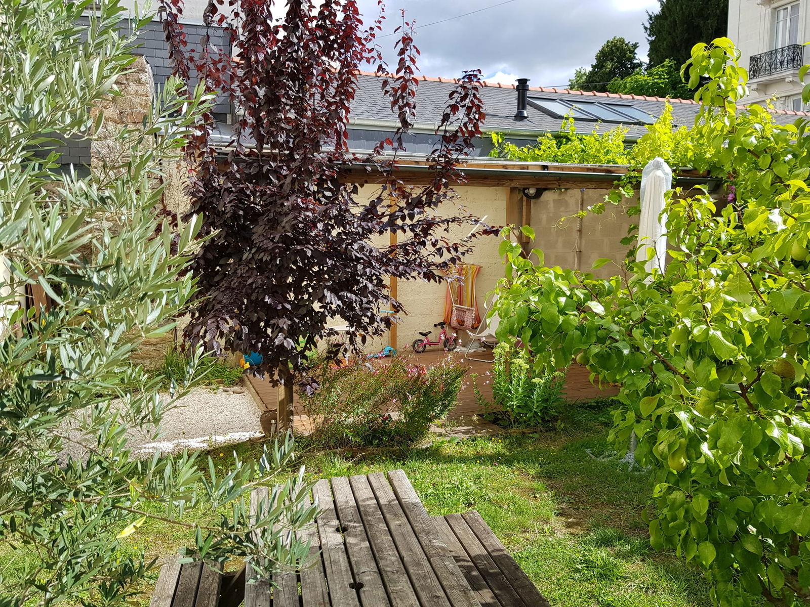 Kolokasie Nantes 41234