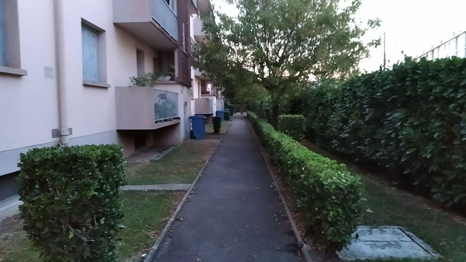 Kolokasie Toulouse 249257