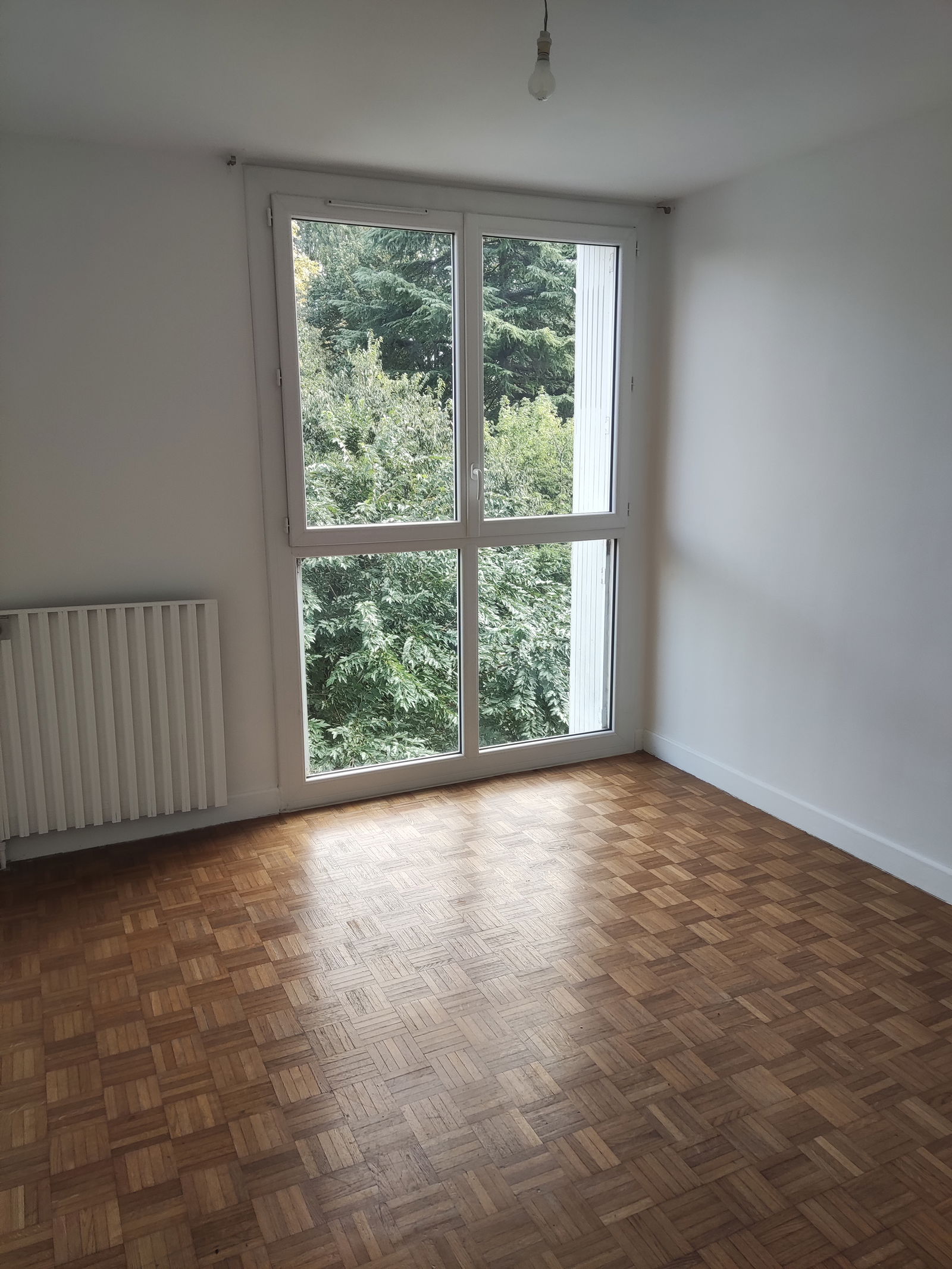 Colocation Toulouse 630386