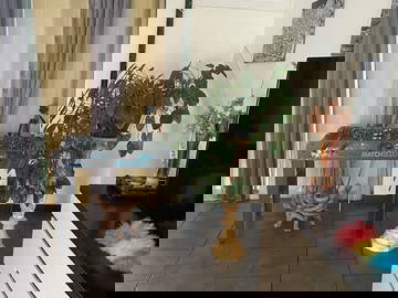 Chambre Chez L'habitant Le Lamentin 648421-1