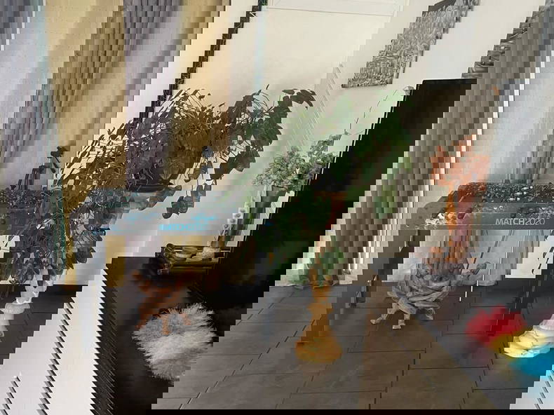 Tuisverblyf Le Lamentin 648421-1