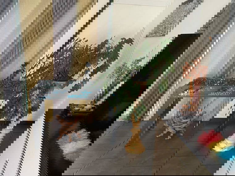 Hospedagem Em Casa De Família Le Lamentin 648421