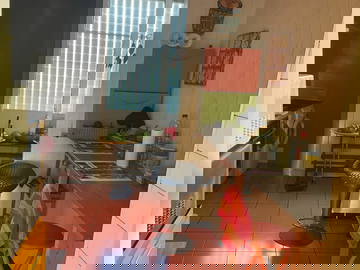 Chambre Chez L'habitant Le Lamentin 648421-2