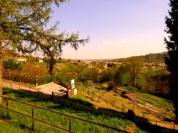 Stanza In Affitto Lombardia 194418