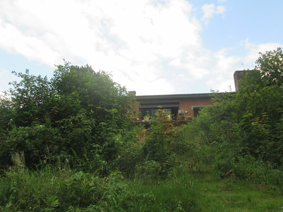 Järjestäminen Gesves 113942