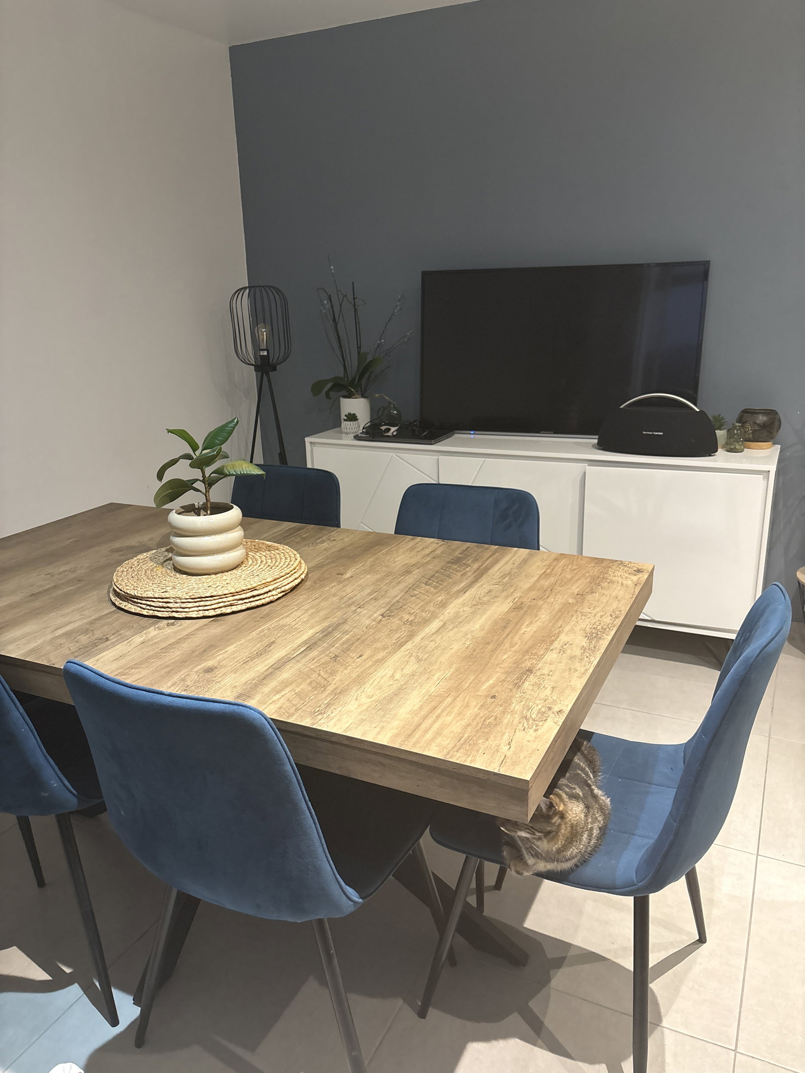 Homestay Cagnes-sur-Mer 669063