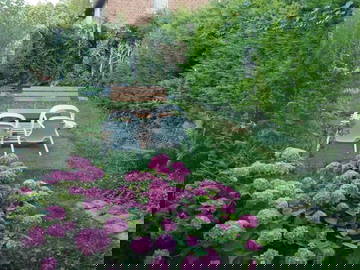 Ganzes Haus Douai 663799-4