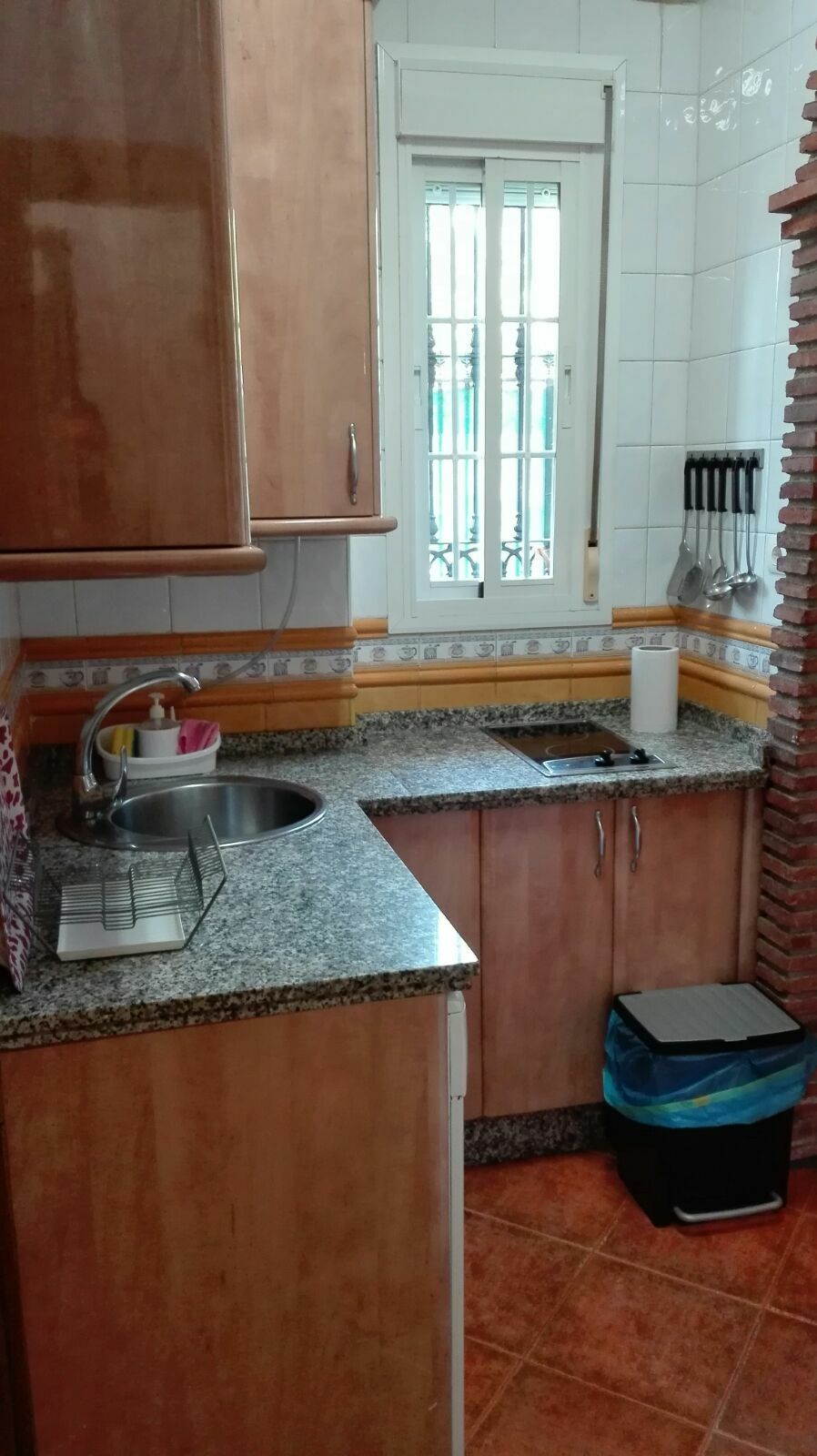 Hjemmeophold Málaga 172066