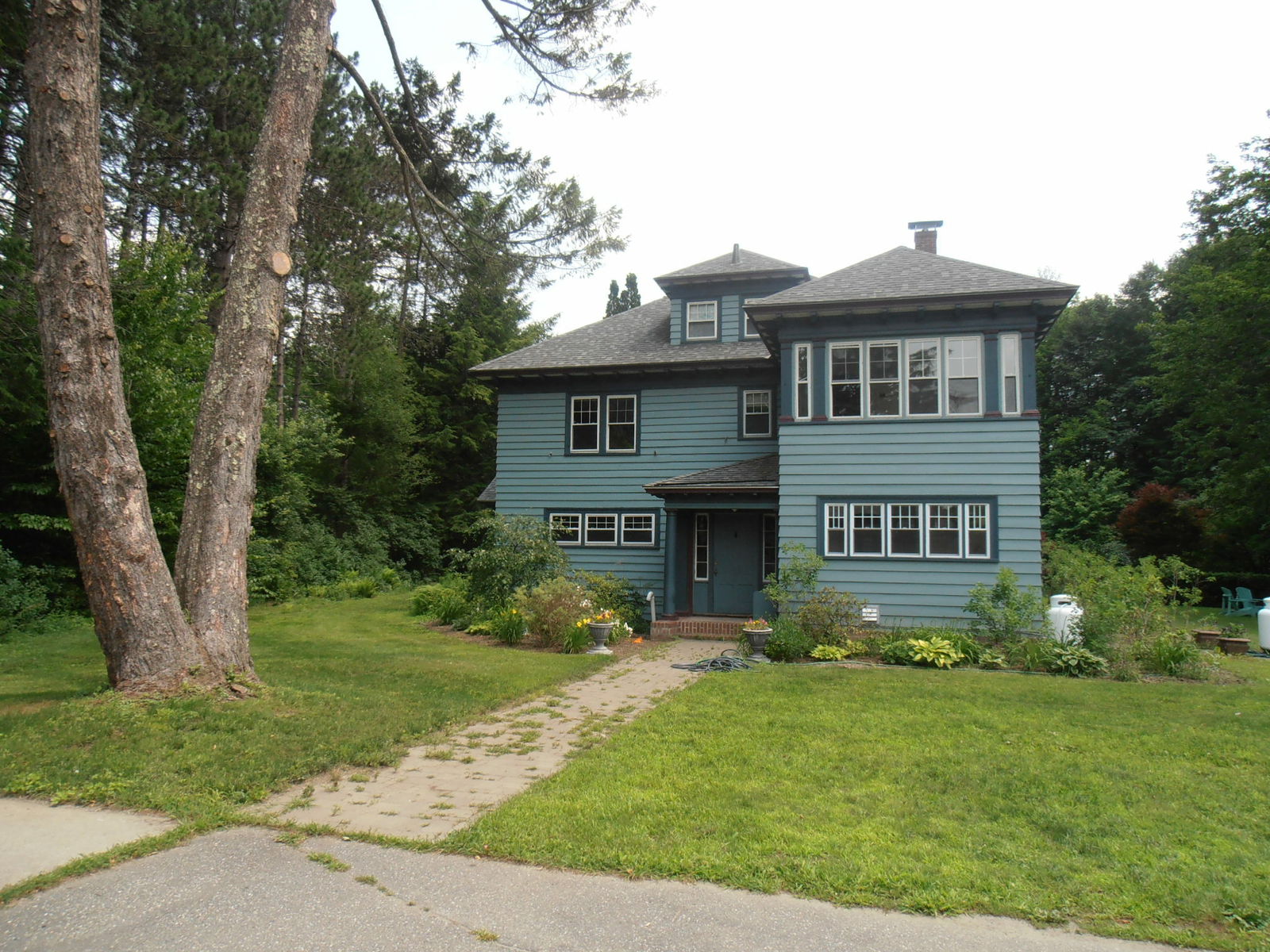 Gastfamilie Windsor 118238