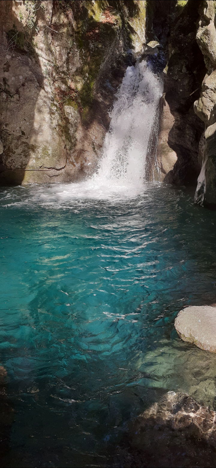 Collocazione Provincia di Lucca 267206